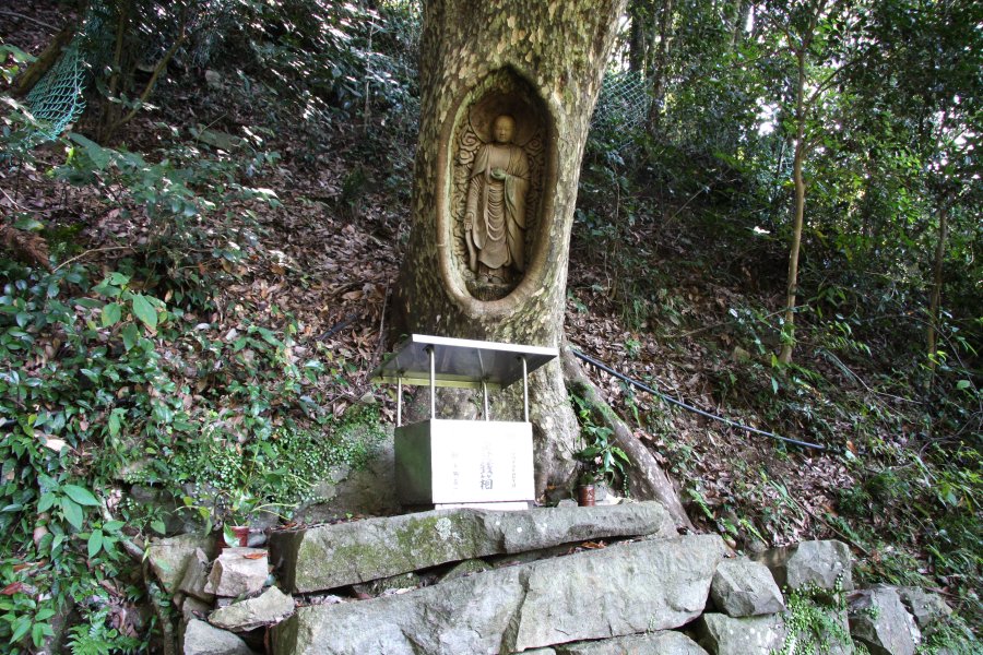 仏像彫刻師･荻田文昭氏によって現在の像になった生き木地蔵。切山の深い山中に鎮座する姿はまるでこの山の守り神のよう。