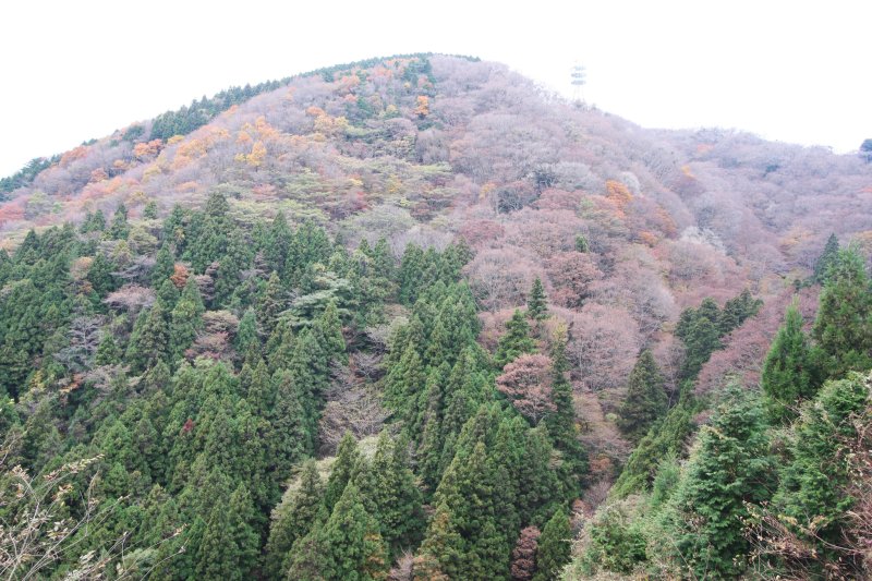古くから多くの人の信仰を集めてきた風格ある高縄山。