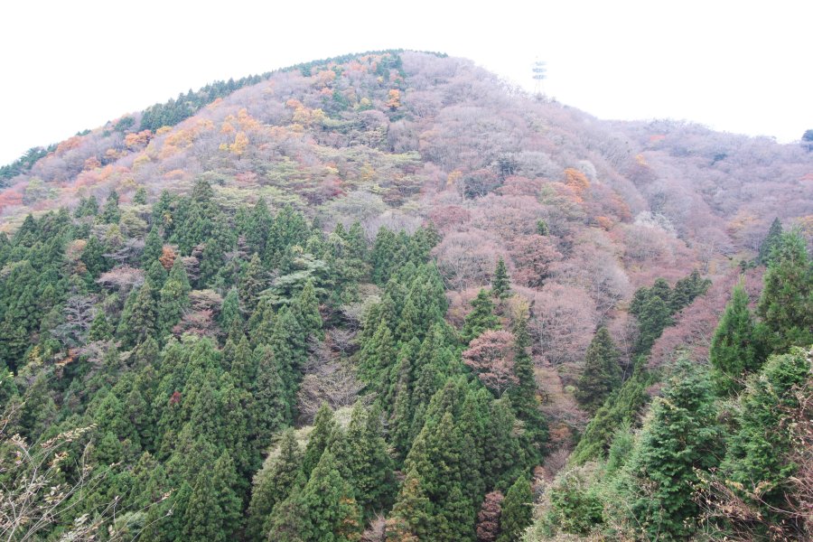 古くから多くの人の信仰を集めてきた風格ある高縄山。