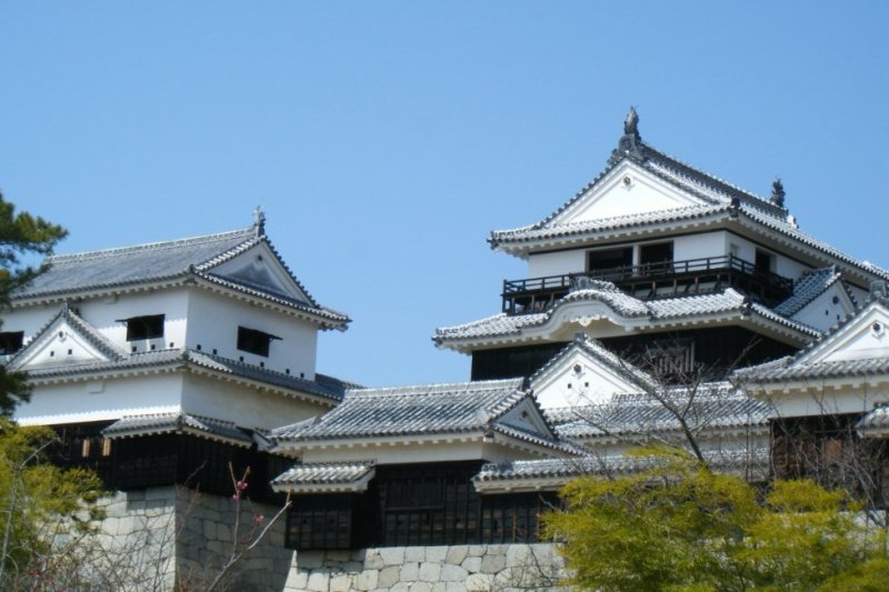 愛媛県内では、宇和島城と共に「現存12天守」の一つである松山城天守。