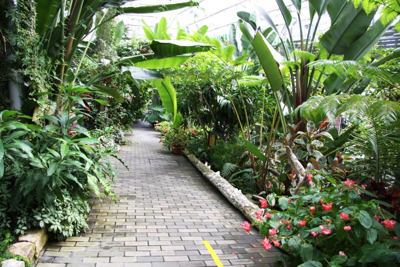 園内には余すところなく花や植物が植えられており、まるで南国の森へ迷い込んだ気分になる。
