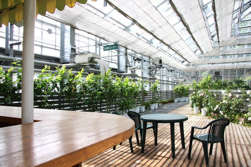 休憩コーナーが設けられており、草花を観賞しながら癒しの時間を過ごすことができる。