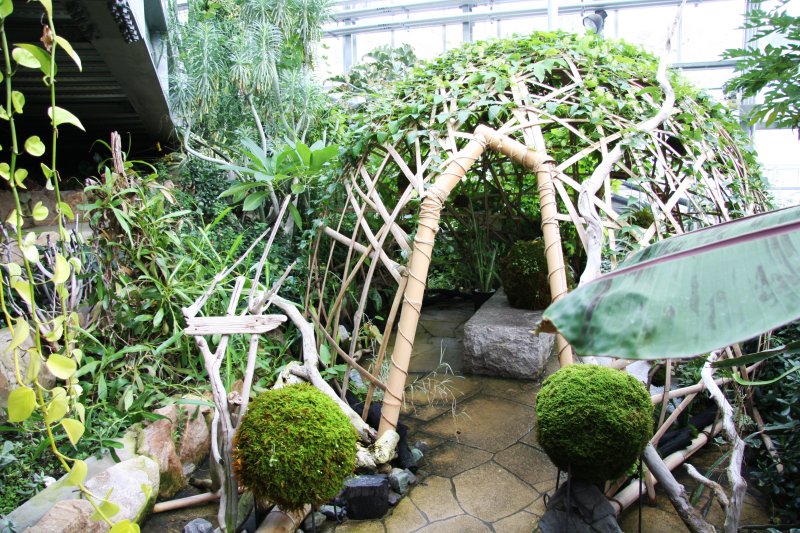 竹で作ったドームにツタを這わせたり、コケ玉を飾ってあったりとユニークな物も展示してある。