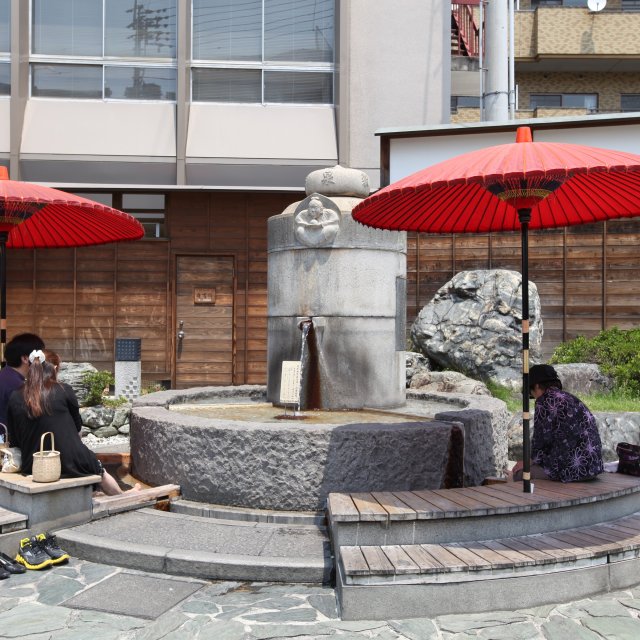 放生園
