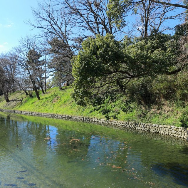 道後公園
