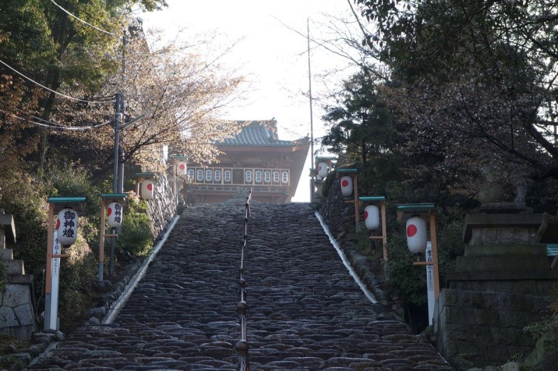 135段の石段を登れば、昔ながらの道後の町並みを見渡すことができる。