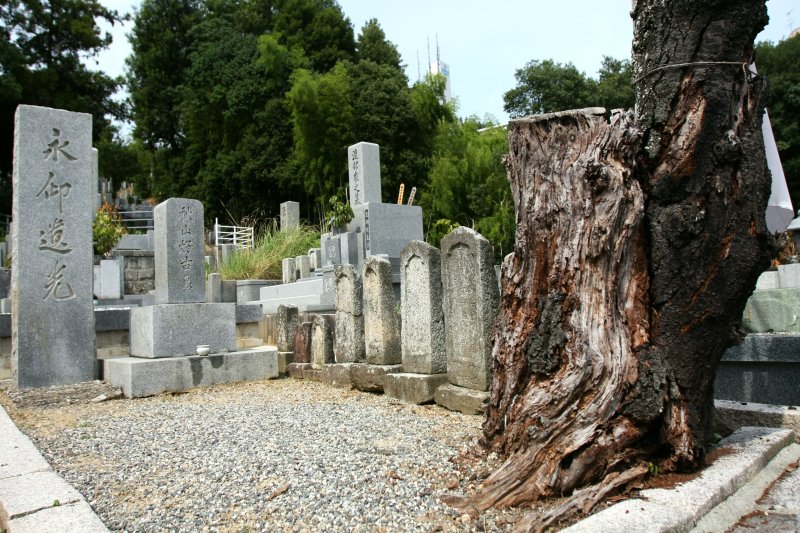 「永仰遺光」の碑は、好古の威光を後々までも伝えたいと願う在郷軍人会によって建てられた。