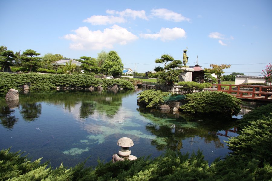 その存在を感じさせないほど澄んだエメラルドグリーンの湧水泉には、カモや鯉、ていれぎなど、多くの動植物が生息する。