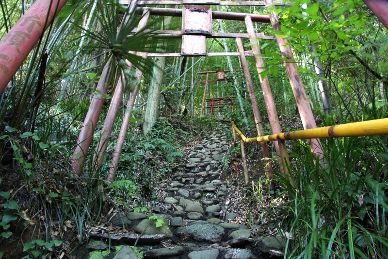 観月山公園登り口横の急な坂道に幾重にも重なる朱色の鳥居は、日中に訪れても張りつめた空気に包まれている。