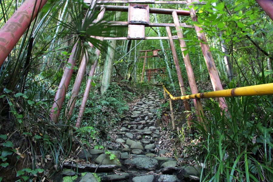 観月山公園登り口横の急な坂道に幾重にも重なる朱色の鳥居は、日中に訪れても張りつめた空気に包まれている。