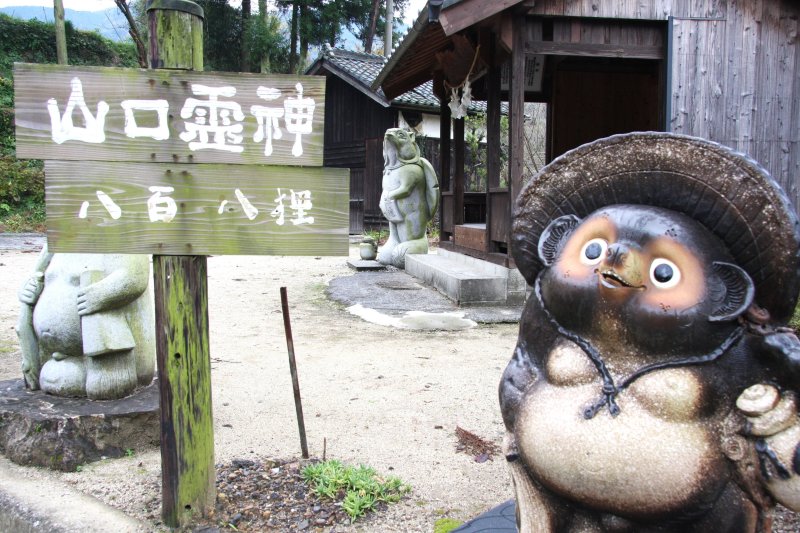 可愛らしい置物や、今にも動き出しそうな迫力ある様々な狸の置物が、訪れた人を出迎えてくれる。
