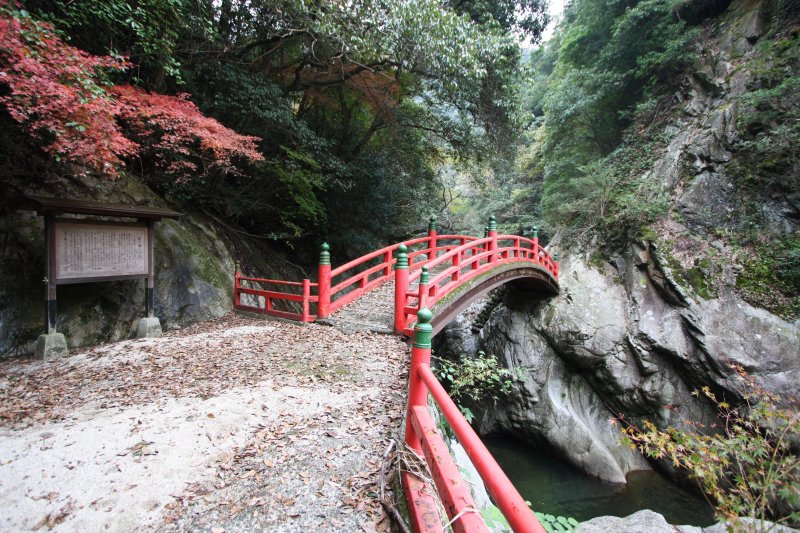 緑豊かな渓谷内では、秋が深まると美しい紅葉の景観が広がっている。