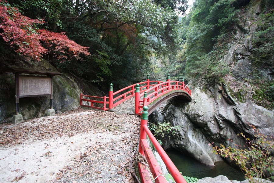 緑豊かな渓谷内では、秋が深まると美しい紅葉の景観が広がっている。