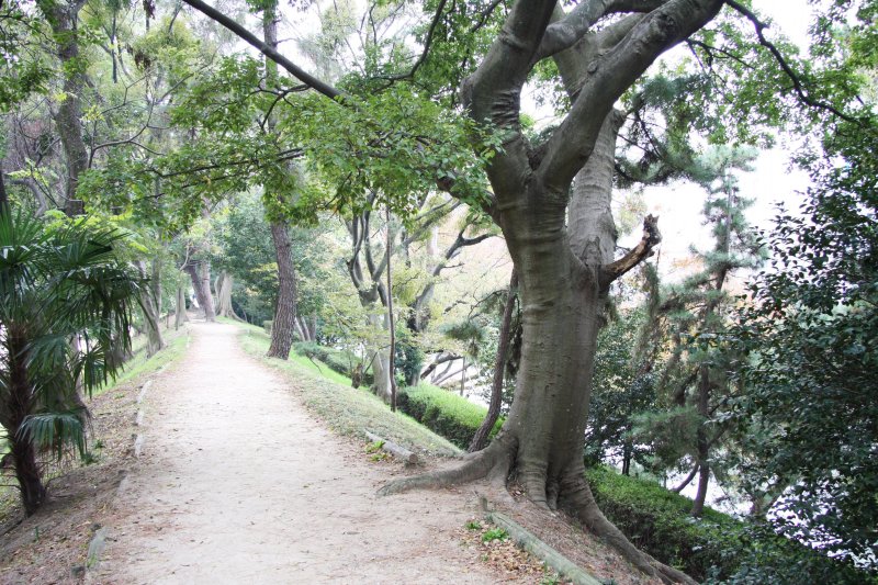 訪れる人は緑溢れる景観を楽しみながら散歩したりと楽しんでいる。