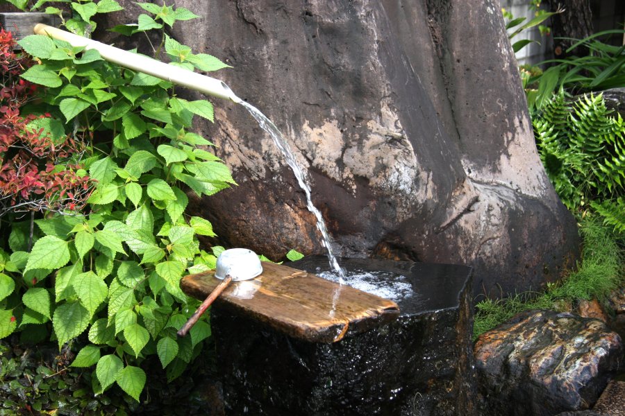西林寺の周辺は、現在でも涸れることなく潤沢な清水が湧き出ている。 