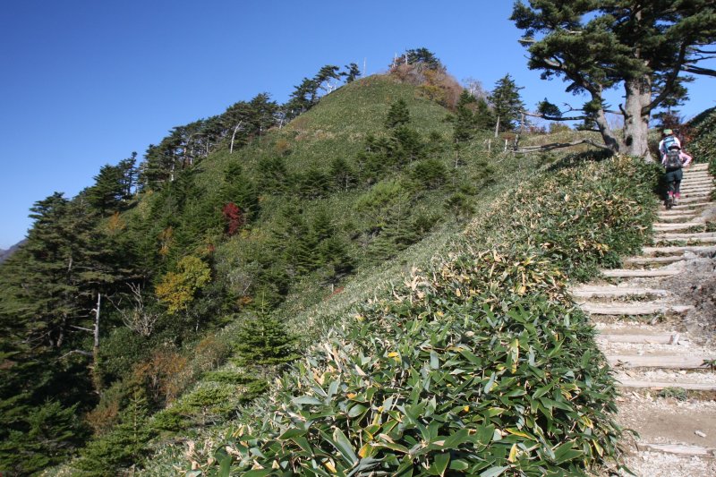 なだらかな斜面に広がる熊笹の中に整備された登山道を登れば、草原に吹く心地良い風を受け清々しい気分になれる。