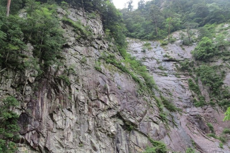 河川の側には断崖絶壁がそびえ立つ。季節によって木々や草花がガラッと景観を変えるのも見どころの一つ。