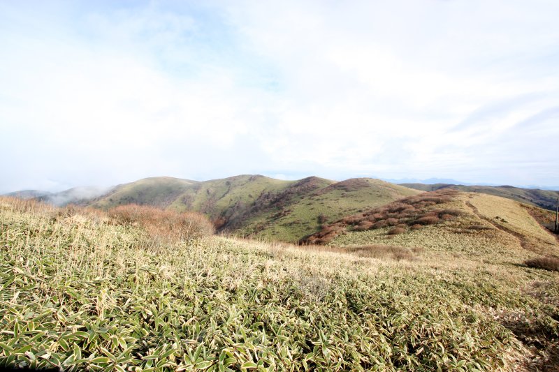 大川嶺の中で最高峰を誇る笠取山の山頂からは、背骨のように波打つ尾根が続いている。