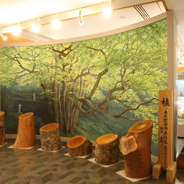 面河山岳博物館