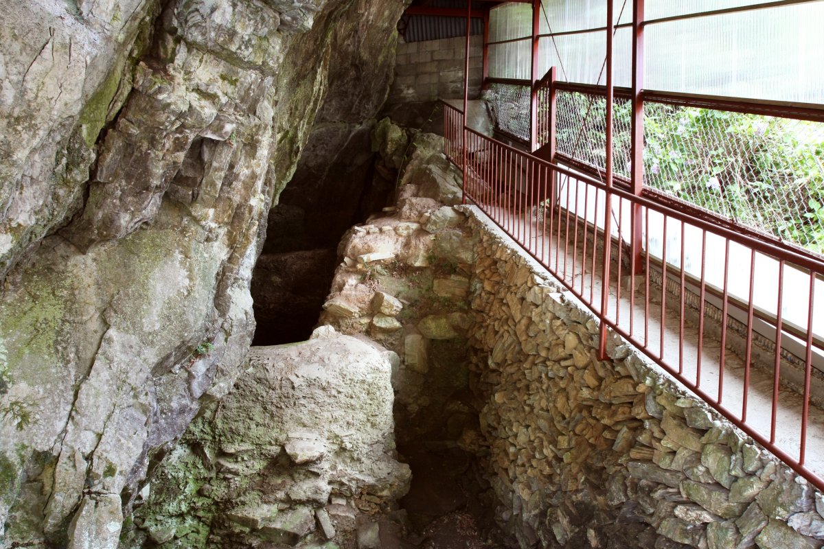 上黒岩遺跡考古館｜愛媛のスポット・体験｜愛媛県の公式観光サイト【いよ観ネット】
