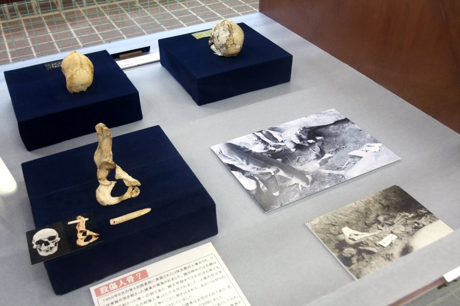 日本で初めて発見された、鹿の角でできた投槍の刺さった腰骨。