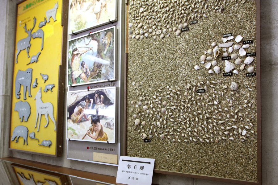 動物の骨や貝殻を利用したアクセサリーなども展示されており、当時の生活をうかがい知れる。