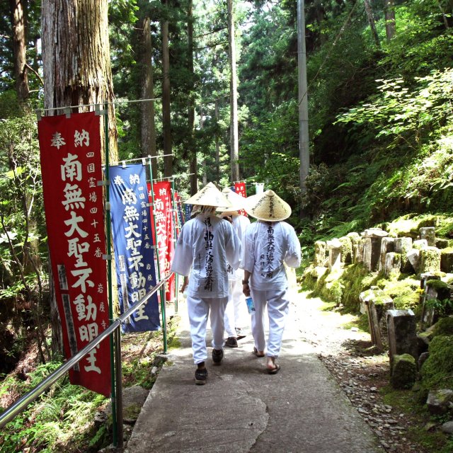 海岸山 岩屋寺