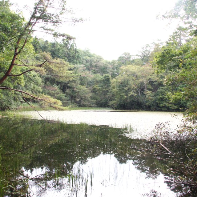 赤蔵ヶ池