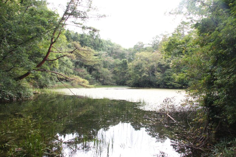 妖怪「鵺」が棲んでいたといわれる池。人里離れた山奥にあり、池の周りは静まりかえっている。