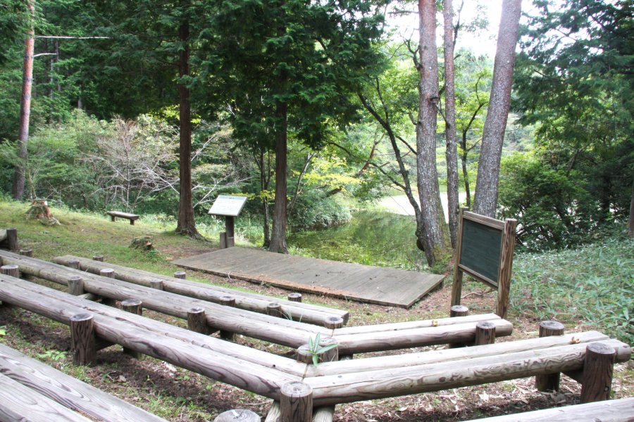 池のほとりにベンチやステージが設置されており、バードウォッチングなど、自然を思う存分満喫することができる。