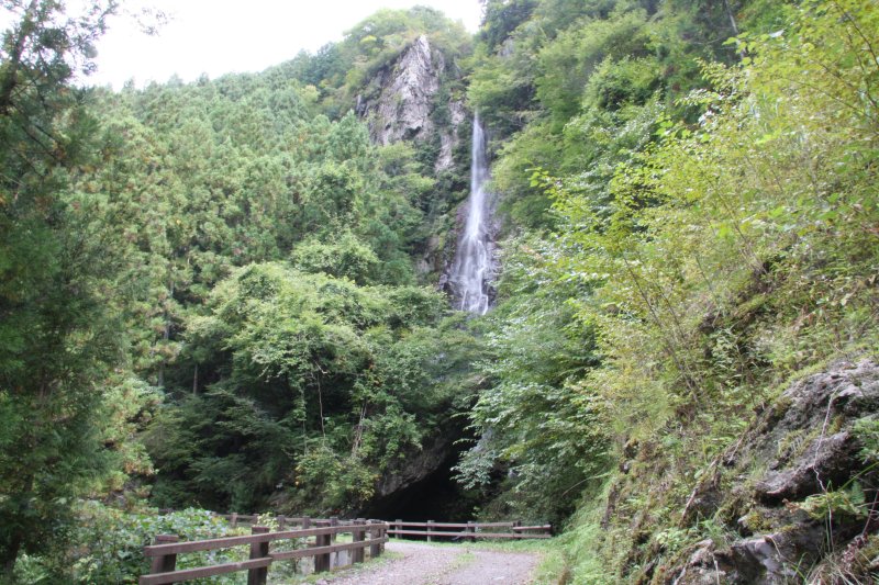 遊歩道が整備されており、四季折々の植物を観察しながら滝が見えるポイントまで移動することができる。