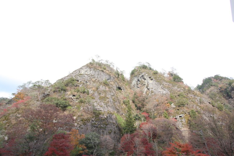 見上げるほどに巨大な大岩壁と、真っ赤に燃える紅葉の対比が絵になる古岩屋は、紅葉の名所としても知られる。