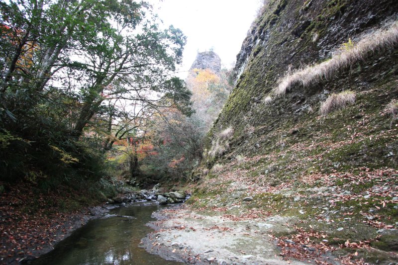 麓を流れる直瀬川沿いには、桜や楓が年間を通して華やかに彩る。