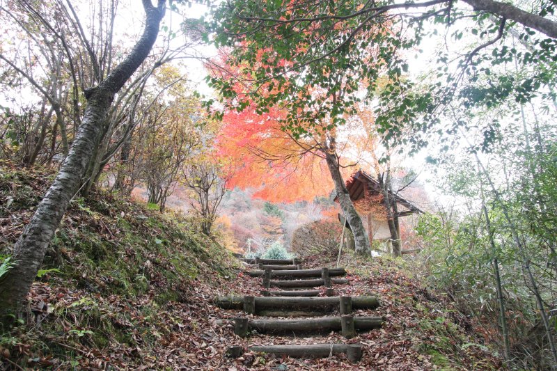 周辺にはいくつもの遊歩道が整備され、移り行く四季を感じながら散策することができる。
