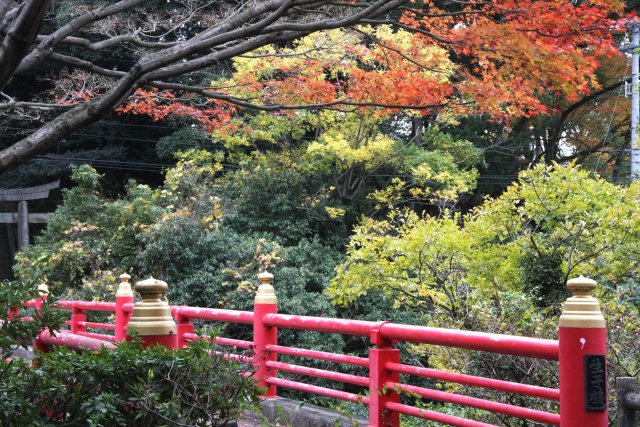 別子ライン