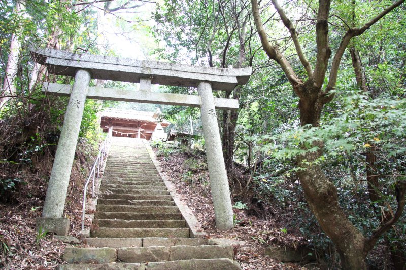 境内の周りを美しい自然が取り囲み、より一層神秘的な雰囲気が漂う。