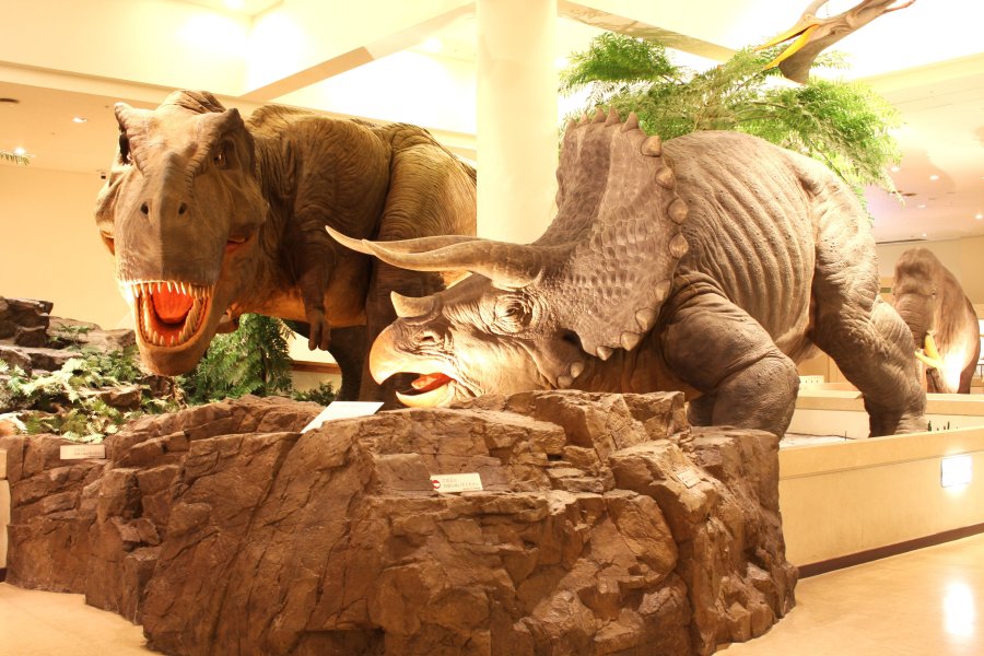 4階の自然館の地球ゾーンには、実物大の恐竜模型が展示されており、その迫力に圧倒される。自然館は地球と宇宙、愛媛のゾーンで構成され、実物標本やジオラマを使って分かりやすく展示している。