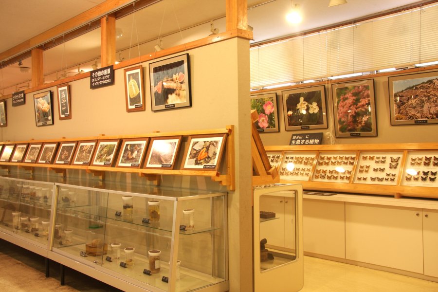 別子山や愛媛県内に生息する生き物を標本や写真を用いて展示しているため、子供にも分かりやすい。