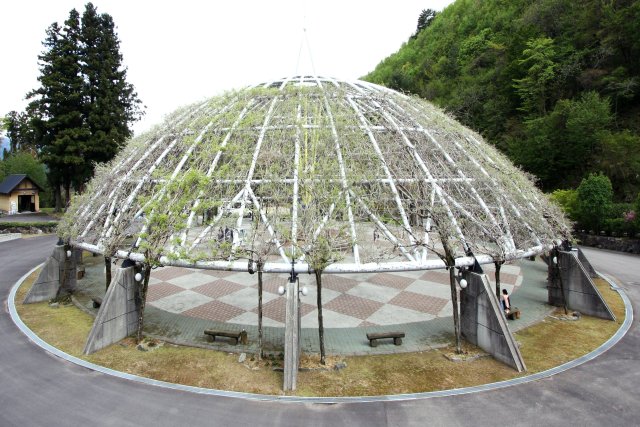 森林公園ゆらぎの森（昼食）