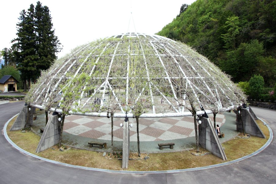 日本最大級の円形の藤棚｢パーゴラ｣は、円形にベンチが設置されており、真下からゆっくりと鑑賞できる。