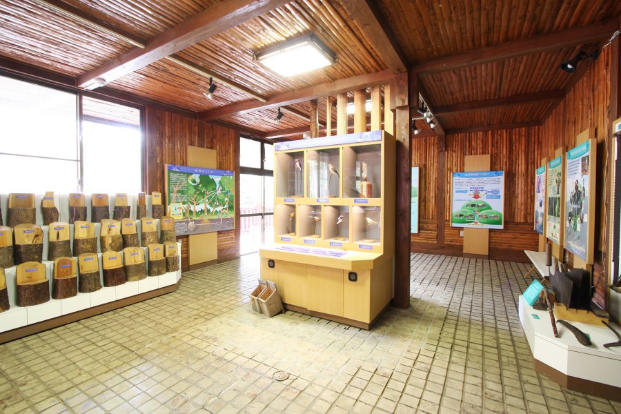 えひめ森林公園内に生息する野鳥や、自生する木々についての資料を展示･紹介している森林学習展示室。