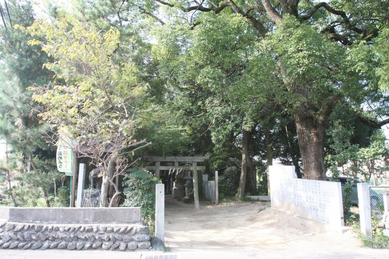 うっそうとした森に囲まれた境内は、かつて何倍もの規模があったと言われている。