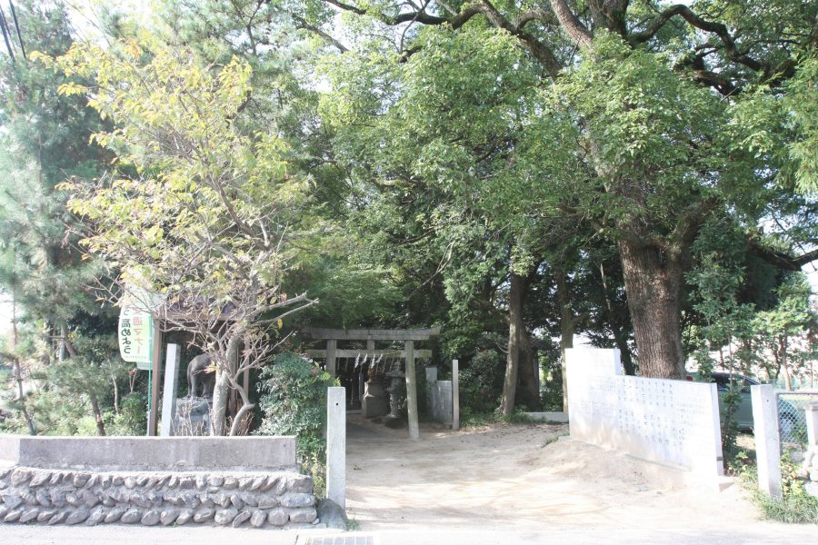 うっそうとした森に囲まれた境内は、かつて何倍もの規模があったと言われている。
