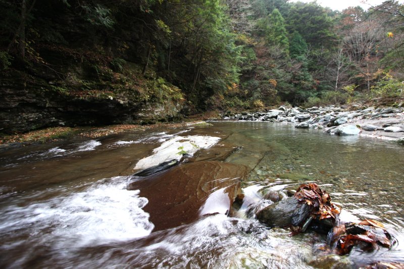 静寂の中、汚れ一つない澄んだ川のせせらぎだけが山中に響き渡っており、自然本来の息吹を感じることができる。 