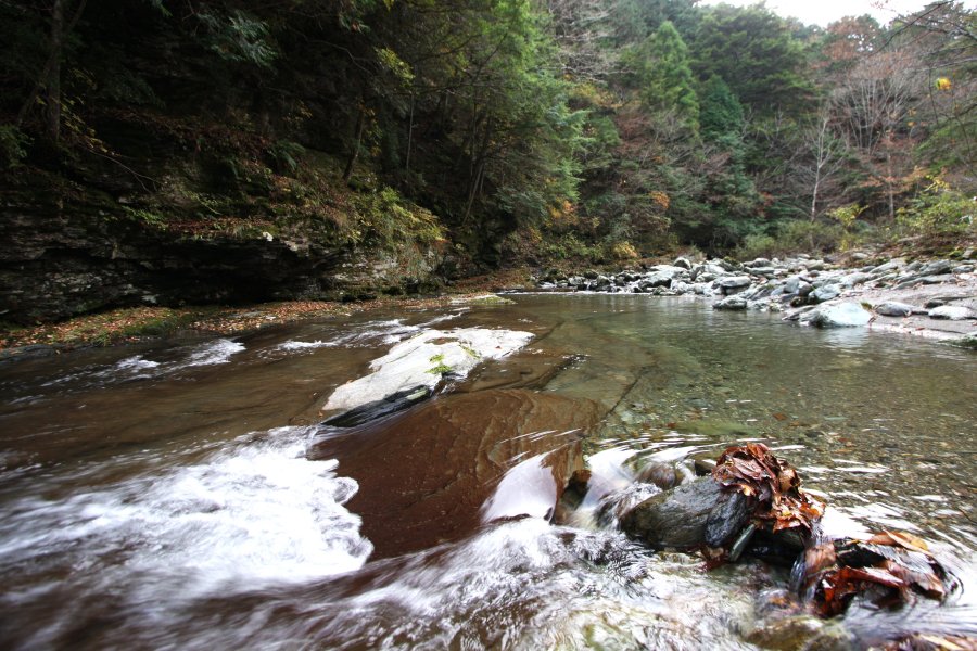 静寂の中、汚れ一つない澄んだ川のせせらぎだけが山中に響き渡っており、自然本来の息吹を感じることができる。 