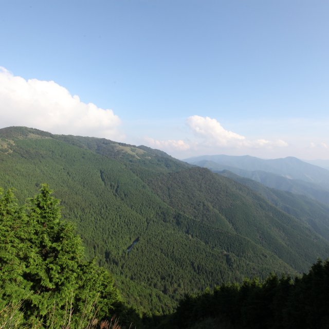 滑床渓谷・鬼ヶ城山系