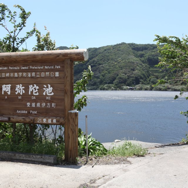 阿弥陀池