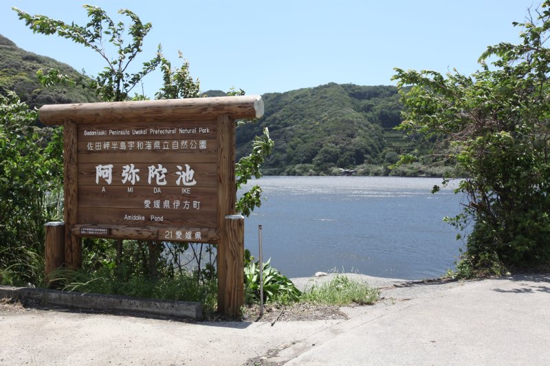 池のほとりには遊歩道が整備されており、様々な花や植物を楽しみながら散歩することができる。