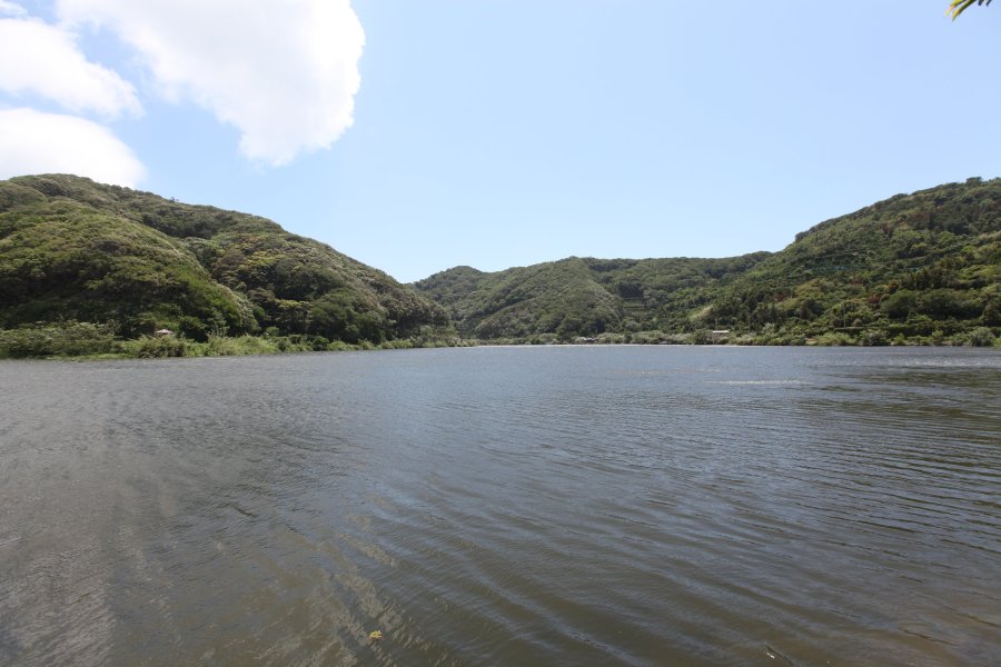 池にはコイやウナギが生息し、6月下旬～8月上旬にかけては蓮の花が池のほとりを鮮やかに彩る。
