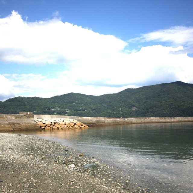 須賀公園
